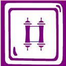 Chabad Centers in Florida