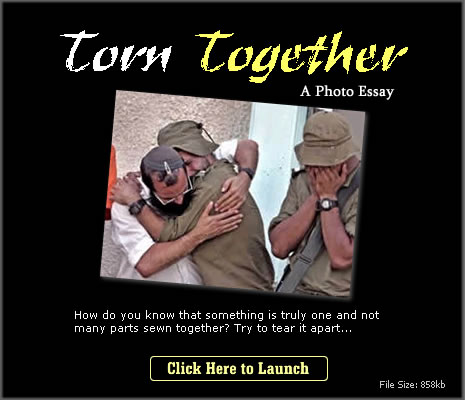 Torn Together How do you know that something is truly one and not many parts sewn together? Try to tear it apart...